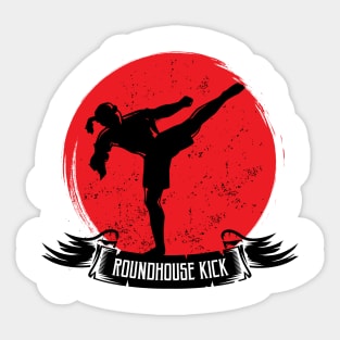 Cool kickboxing mma roundhouse kick Sticker